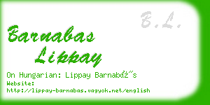 barnabas lippay business card